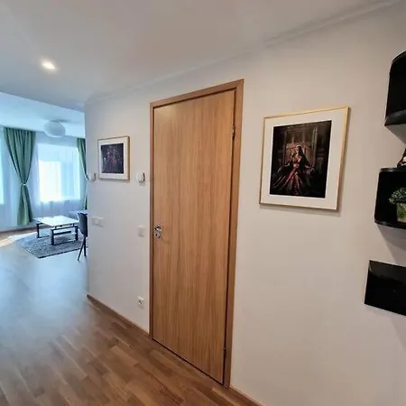 Korter Spacious Near Downtown Tallinn
